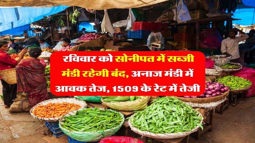 सोनीपत मंडी भाव : रविवार को सोनीपत में सब्जी मंडी रहेगी बंद, अनाज मंडी में आवक तेज, 1509 के रेट में तेजी