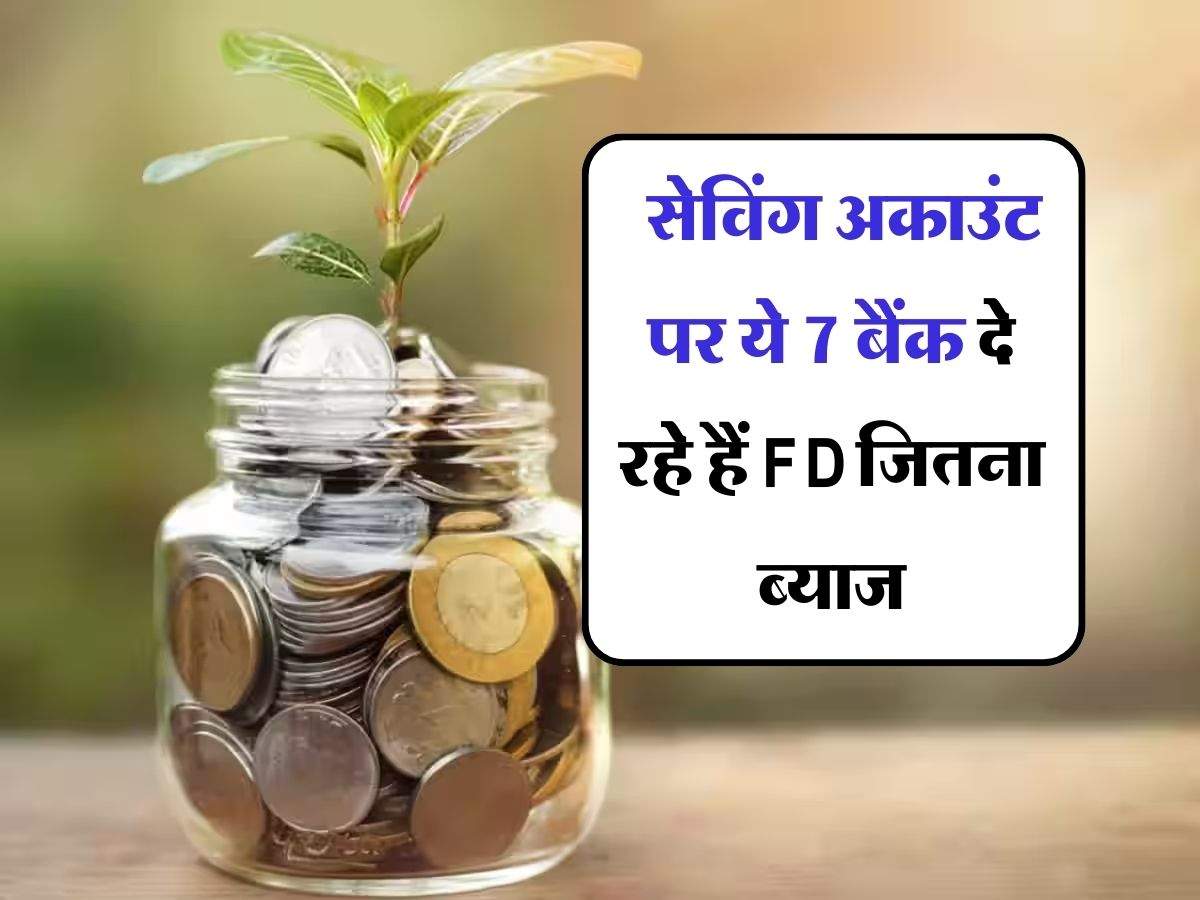 savings account interest rate : सेविंग अकाउंट पर ये 7 बैंक दे रहे हैं FD जितना ब्याज