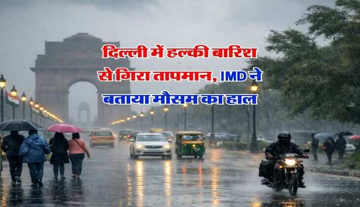 Delhi Weather: दिल्ली में हल्की बारिश से गिरा तापमान, IMD ने बताया मौसम &nbsp;का हाल