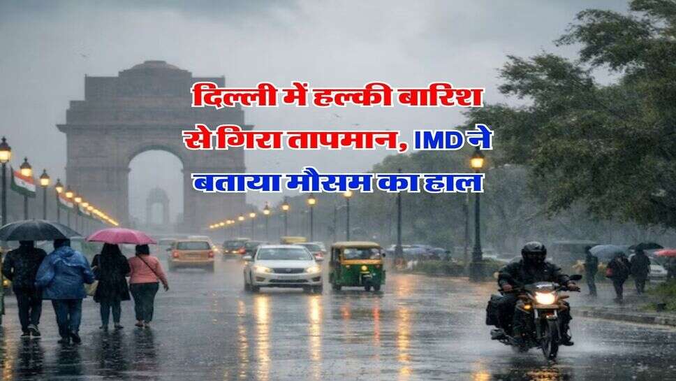Delhi Weather: दिल्ली में हल्की बारिश से गिरा तापमान, IMD ने बताया मौसम &nbsp;का हाल