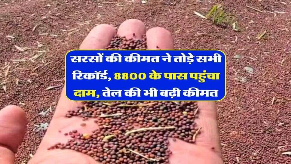 Sarso Mandi Bhav : सरसों की कीमत ने तोड़े सभी रिकॉर्ड, 8800 के पास पहुंचा दाम, तेल की भी बढ़ी कीमत