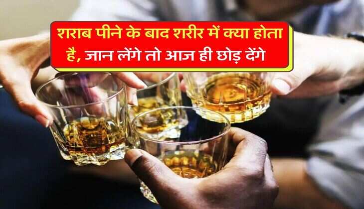 Wine Beer : शराब पीने के बाद शरीर में क्या होता है, जान लेंगे तो आज ही छोड़ देंगे