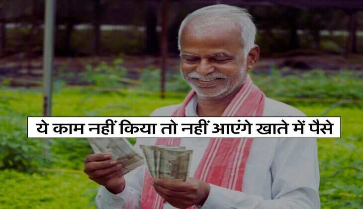 PM Kisan : ये काम नहीं किया तो नहीं आएंगे खाते में पैसे, मुआवजे से भी धोना पड़ेगा हाथ