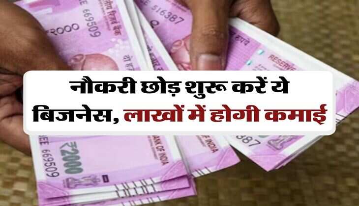 Business Idea : नौकरी छोड़ शुरू करें ये बिजनेस, लाखों में होगी कमाई