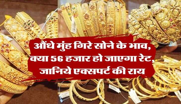 Gold Rate Down : औंधे मुंह गिरे सोने के भाव, क्या 56 हजार हो जाएगा रेट, जानिये एक्सपर्ट की राय