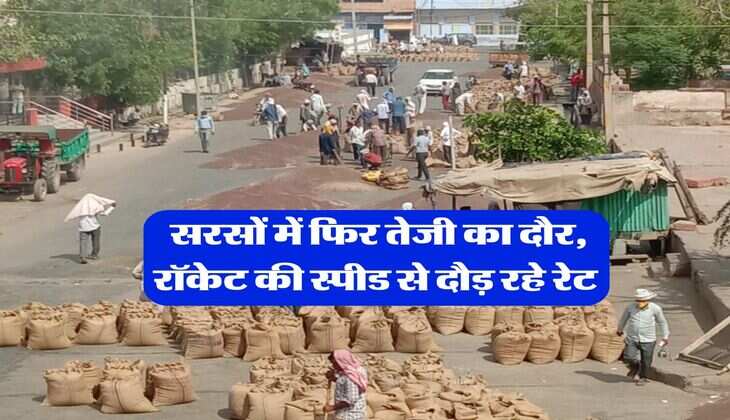 Sarso Price : सरसों में फिर तेजी का दौर, रॉकेट की स्पीड से दौड़ रहे रेट