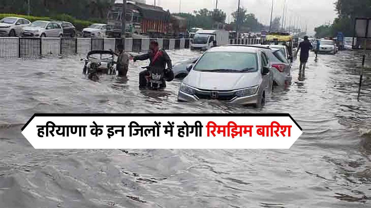 Haryana Weather : हरियाणा के इन जिलों में होगी रिमझिम बारिश, जानिये मौसम का हाल