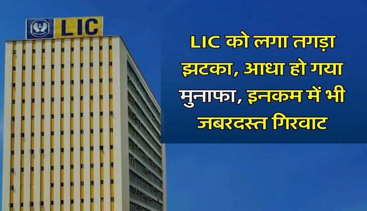 LIC को लगा तगड़ा झटका, आधा हो गया मुनाफा, इनकम में भी जबरदस्त गिरवाट