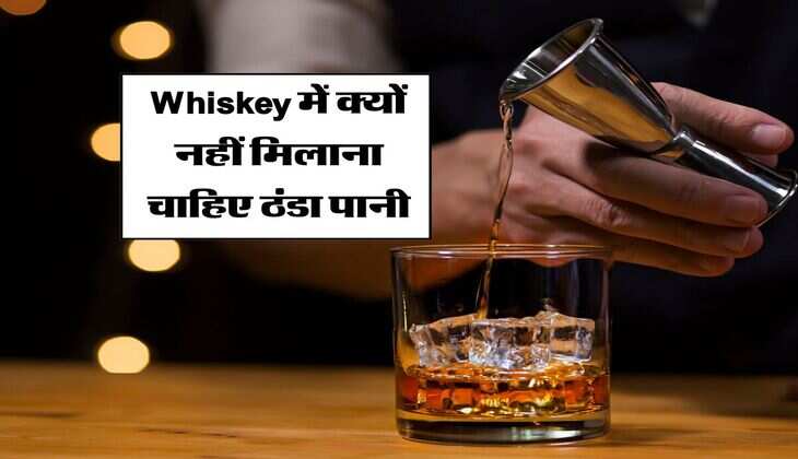 Whiskey में क्यों नहीं मिलाना चाहिए ठंडा पानी, जानिये एक्सपर्ट का जवाब 