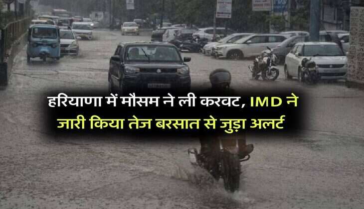 Weather Updates : हरियाणा में मौसम ने ली करवट, IMD ने जारी किया तेज बरसात से जुड़ा अलर्ट