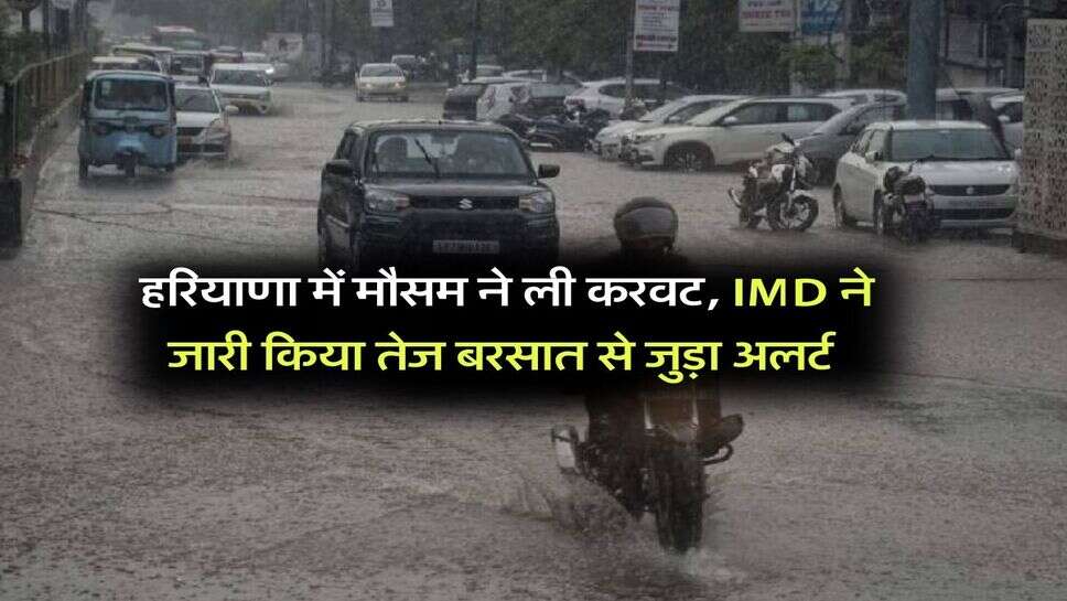 Weather Updates : हरियाणा में मौसम ने ली करवट, IMD ने जारी किया तेज बरसात से जुड़ा अलर्ट