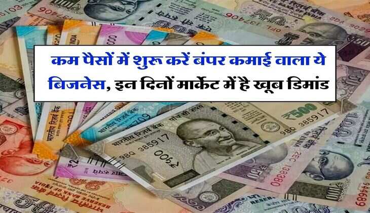 Business Ideas : कम पैसों में शुरू करें बंपर कमाई वाला ये बिजनेस, इन दिनों मार्केट में है खूब डिमांड