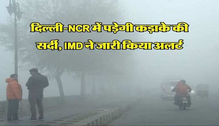 दिल्ली-NCR में पड़ेगी कड़ाके की सर्दी, IMD ने जारी किया अलर्ट