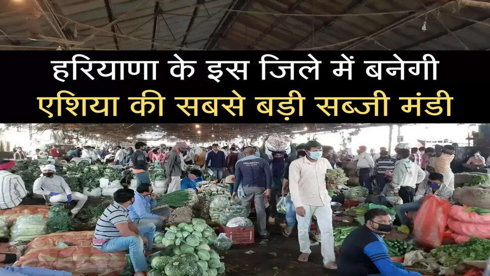 india international horticulture market ganaur haryana