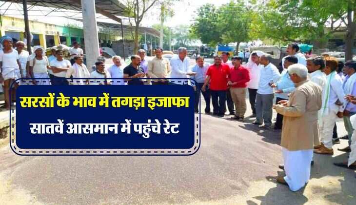 sarso ka rate : सरसों के भाव में तगड़ा इजाफा, सातवें आसमान में पहुंचे रेट