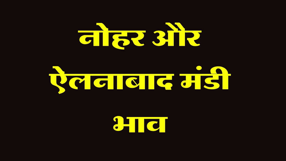 नोहर और ऐलनाबाद मंडी भाव 08 अक्टूबर 2026: नरमा, ग्वार, मूंग और धान के ताजा भाव