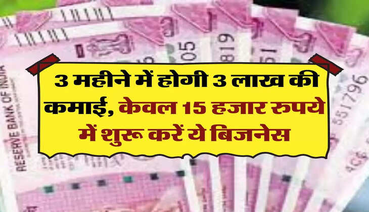 Business Idea: 3 महीने में होगी 3 लाख की कमाई, केवल 15 हजार रुपये में शुरू करें ये बिजनेस