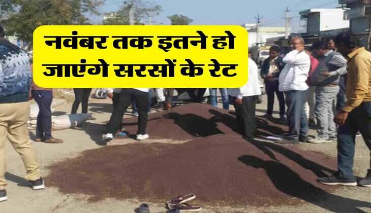 sarso rate hike : नवंबर तक इतने हो जाएंगे सरसों के रेट