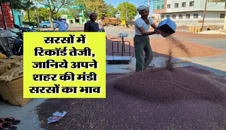 sarso Rate Hike : सरसों में रिकॉर्ड तेजी, जानिये अपने शहर की मंडी सरसों का भाव