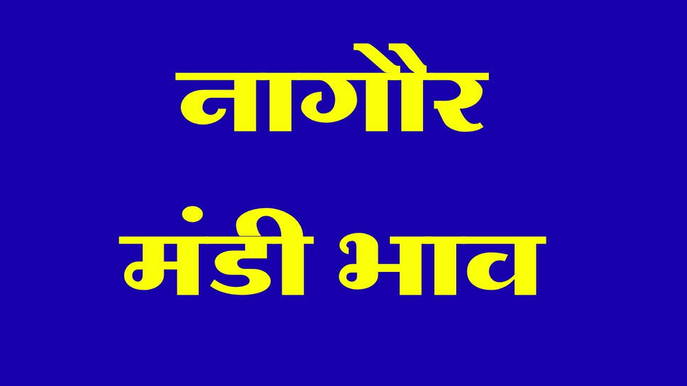 नागौर मंडी भाव 3 अक्टूबर 2026: जीरा-सौंफ में तेजी, तिल और मोठ भी मजबूत