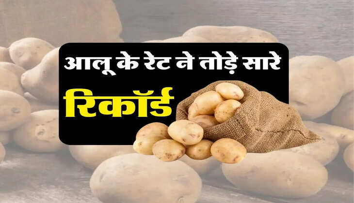 Potato Price : आलू के रेट ने तोड़े सारे रिकॉर्ड, वजह जानकर रह जाएंगे हैरान