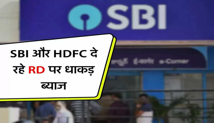 SBI और HDFC समेत ये बैंक दे रहे&nbsp;RD पर धाकड़ ब्याज
