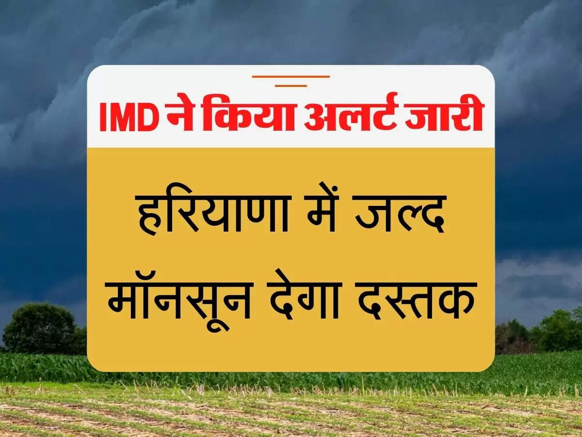 Monsoon Alert 2022 हरियाणा में जल्द मॉनसून देगा दस्तक, IMD ने किया अलर्ट जारी