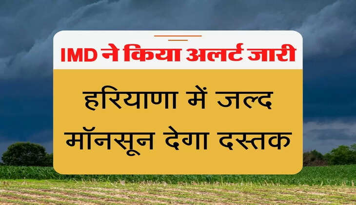 Monsoon Alert 2022 हरियाणा में जल्द मॉनसून देगा दस्तक, IMD ने किया अलर्ट जारी