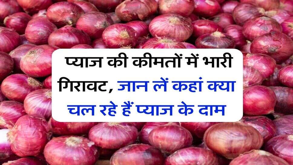 Onion Rate Down : प्याज की कीमतों में भारी गिरावट, जान लें कहां क्या चल रहे हैं प्याज के दाम