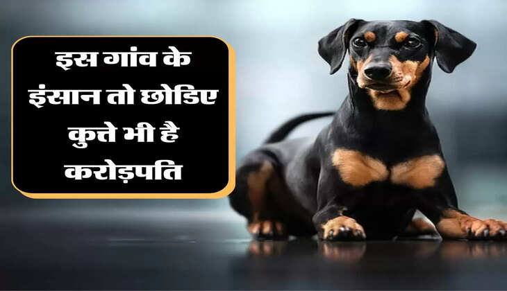 इस गांव के इंसान तो छोडिए कुत्ते भी है करोड़पति, कमाई जान उड़ जाएंगे होश