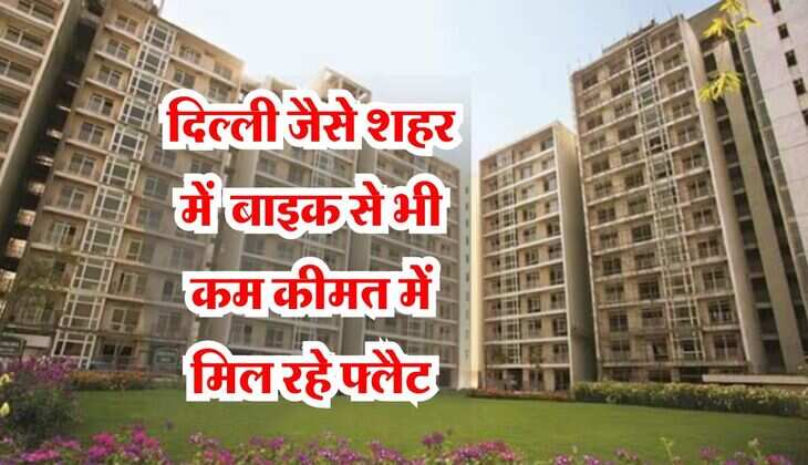 Property Rates: दिल्ली जैसे शहर में घर खरीदने का है सपना, तो बाइक से भी कम कीमत में मिल रहे फ्लैट