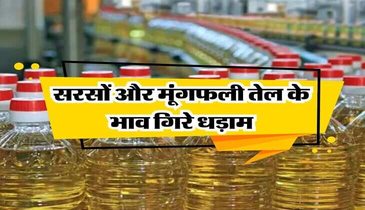 mustard oil price : सरसों और मूंगफली तेल के भाव गिरे धड़ाम, जानिये तेल-तिलहन के लेटेस्ट रेट