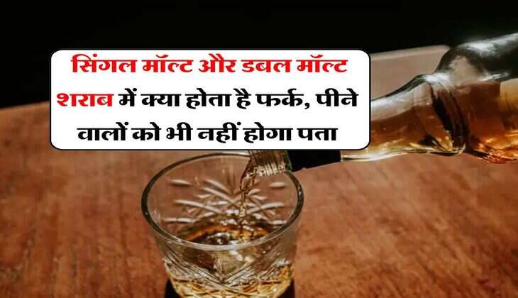 Alcohol : सिंगल मॉल्ट और डबल मॉल्ट शराब में क्या होता है फर्क, पीने वालों को भी नहीं होगा पता