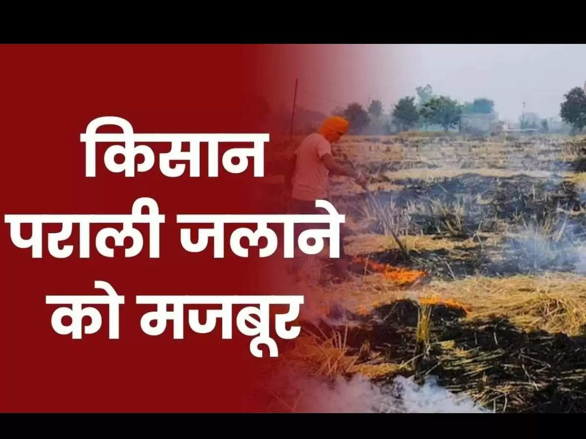 Stubble Burning: किसान को पराली जलाने से रोकने का काम करेगा यह फॉर्मूला, दिल्ली की हवा साफ होने के साथ किसानों को होगा फायदा