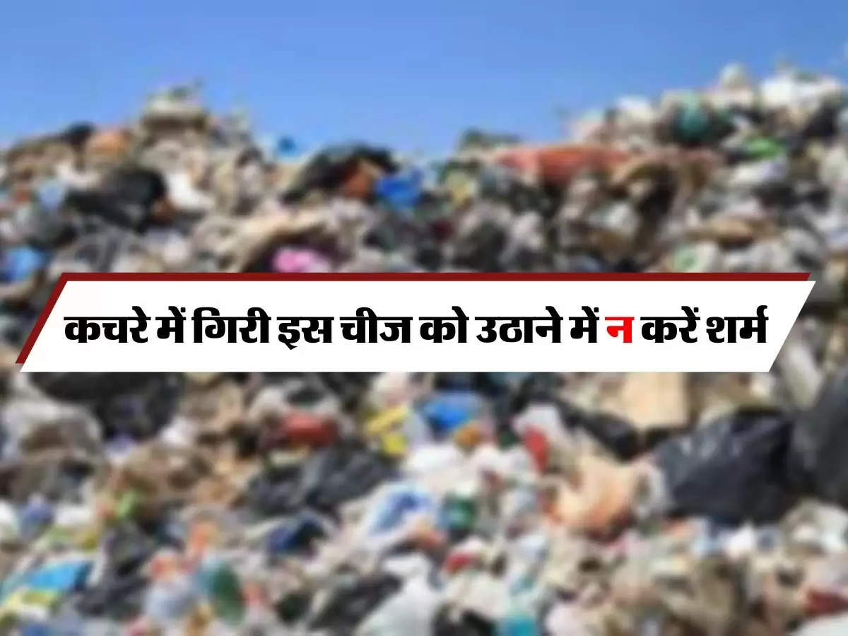 Chanakya Niti : कचरे में गिरी इस चीज को उठाने में न करें शर्म, हो जाएंगे मालामाल