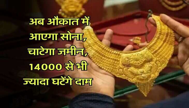 Gold Rate : अब औकात में आएगा सोना, चाटेगा जमीन, 14000 से भी ज्यादा घटेंगे दाम