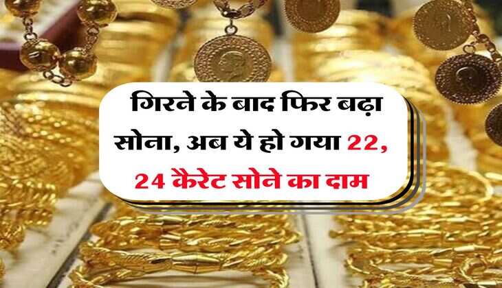 Gold Rate : गिरने के बाद फिर बढ़ा सोना, अब ये हो गया 22, 24 कैरेट सोने का दाम