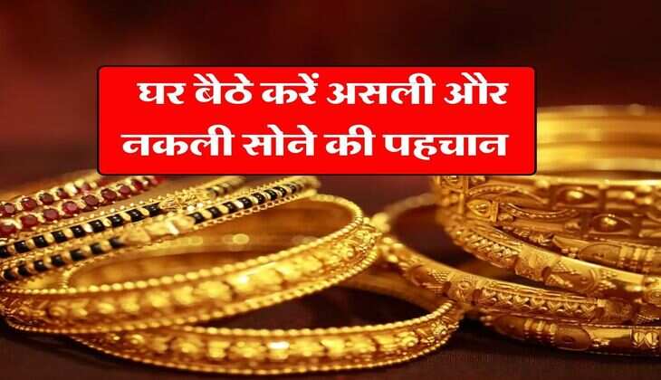 Gold Purity Test : घर बैठे करें असली और नकली सोने की पहचान, तरीका बेहद आसान