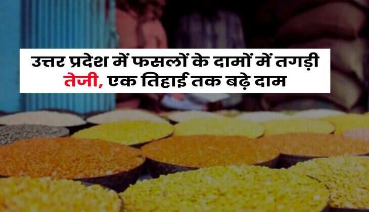 UP News : उत्तर प्रदेश में फसलों के दामों में तगड़ी तेजी, एक तिहाई तक बढ़े दाम