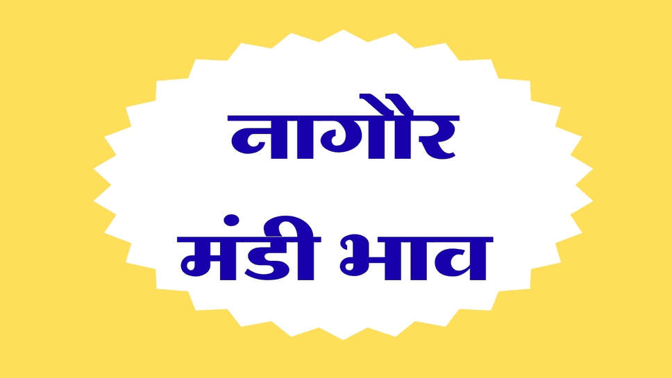 नागौर मंडी भाव 13 अक्टूबर 2026: मूंग, ग्वार, जीरा, सौंफ और ईसबगोल के ताजा भाव