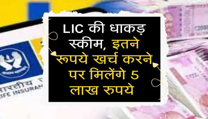 LIC की धाकड़ स्कीम, इतने रूपये खर्च करने पर मिलेंगे 5 लाख रुपये 