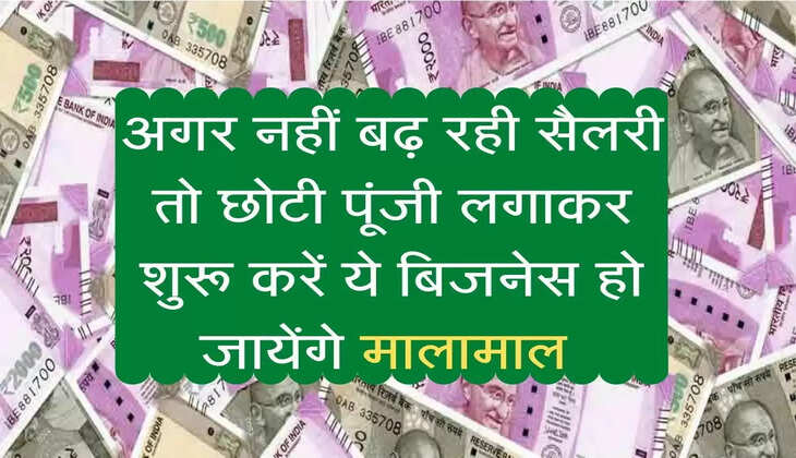 अगर नहीं बढ़ रही सैलरी तो छोटी पूंजी लगाकर शुरू करें ये बिजनेस हो जायेंगे मालामाल 