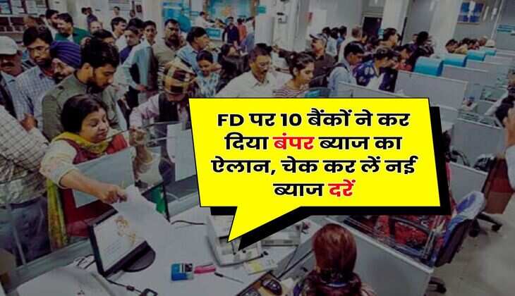 FD पर 10 बैंकों ने कर दिया बंपर ब्याज का ऐलान, चेक कर लें नई ब्याज दरें
