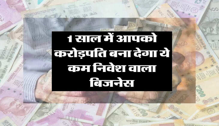 Business Idea : 1 साल में आपको करोड़पति बना देगा ये कम निवेश वाला बिजनेस