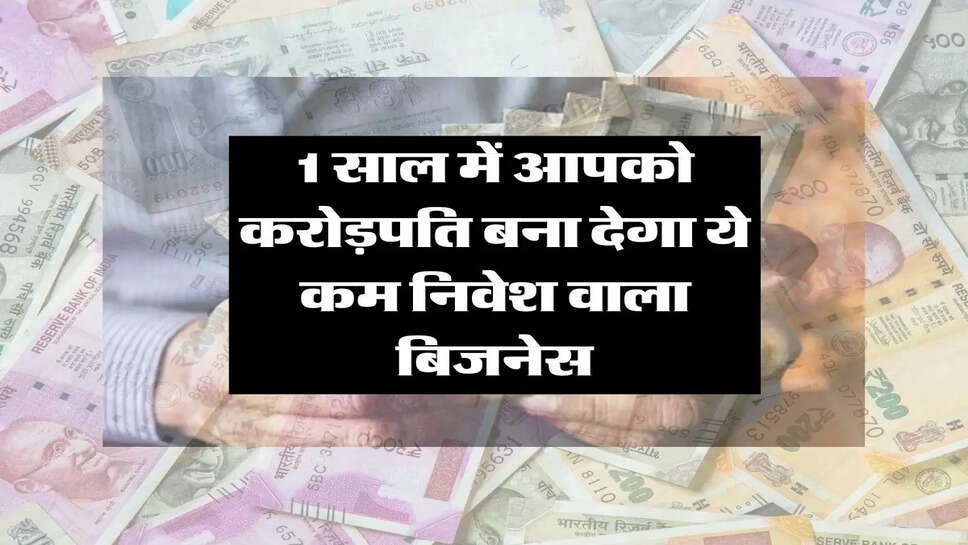 Business Idea : 1 साल में आपको करोड़पति बना देगा ये कम निवेश वाला बिजनेस