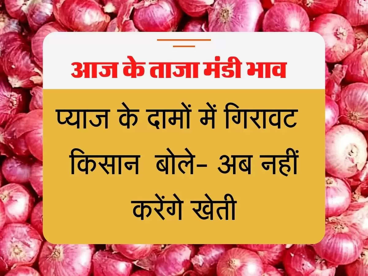  payaj ke taza bhav प्याज के दामों में गिरावट के बाद किसान हुए परेशान, बोले- अब नहीं करेंगे खेती