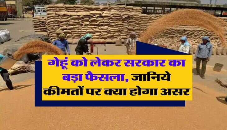 Wheat Storage Limit : गेहूं को लेकर सरकार का बड़ा फैसला