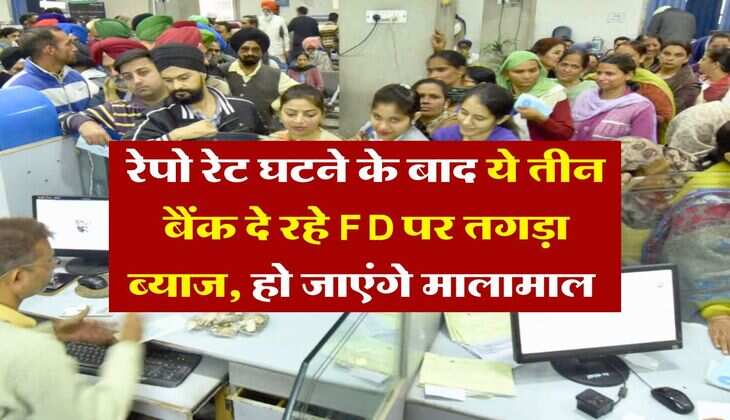 रेपो रेट घटने के बाद ये तीन बैंक दे रहे FD पर तगड़ा ब्याज, हो जाएंगे मालामाल&nbsp;