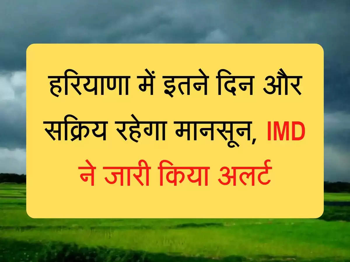 Barish Alert हरियाणा में इतने दिन और सक्रिय रहेगा मानसून, IMD ने जारी किया अलर्ट