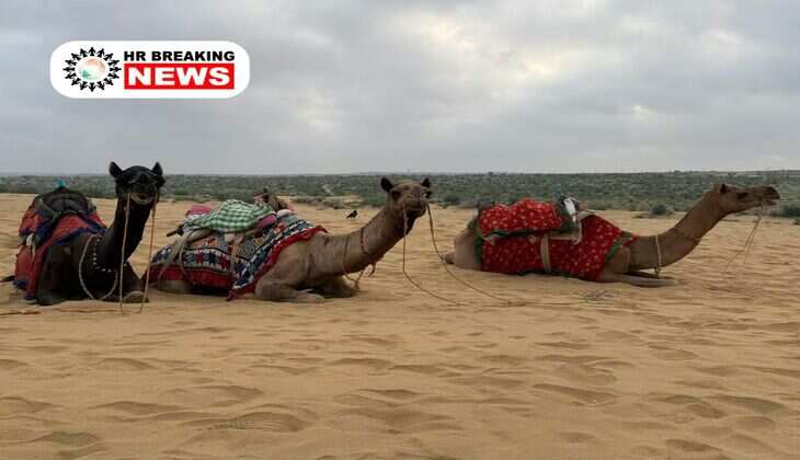 Rajasthan Weather : राजस्थान में मौसम ने मारी पलटी, IMD ने जारी किया बड़ा अपडेट